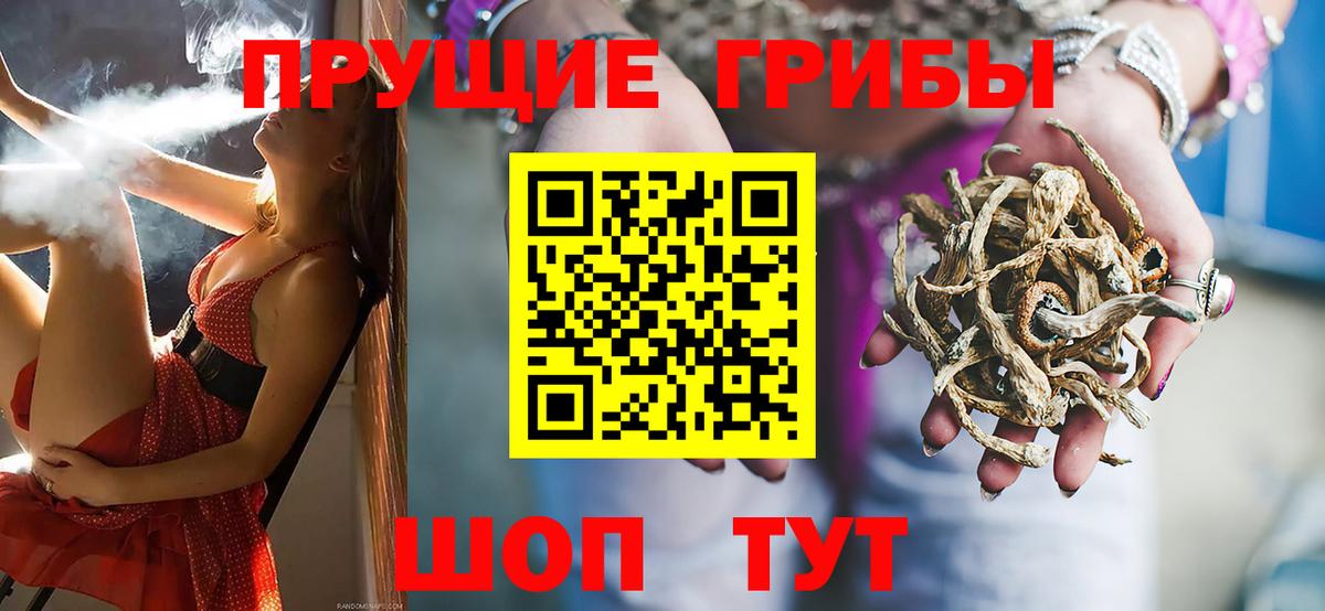 Галлюциногенные грибы Psilocybine cubensis  Вход с VPN  Нарткала 